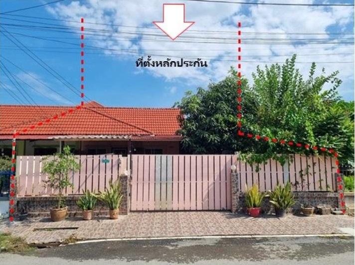 ต้นโพธิ์ เมืองสิงห์บุรี สิงห์บุรี