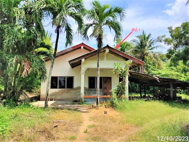 โพทะเล ค่ายบางระจัน สิงห์บุรี